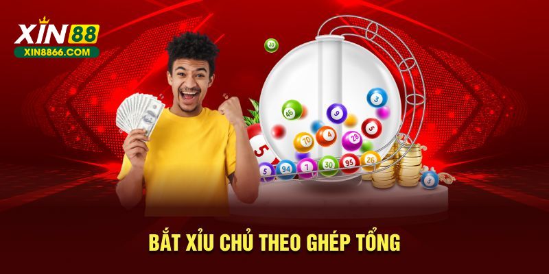 Bắt xỉu chủ theo ghép tổng