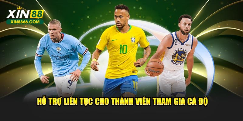 Hỗ trợ liên tục cho thành viên tham gia cá độ