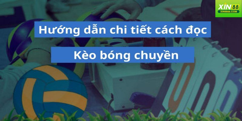 Chi tiết cách đọc tỷ lệ các loại kèo bóng chuyền
